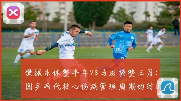 樊振东休整半年vs马龙调整三月：国乒两代核心伤病管理周期的时间经济学